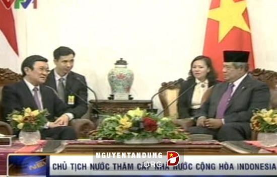 Un jalon historique dans les relations vietnamo-indonésiennes - ảnh 1